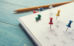  Calendar and push pins
